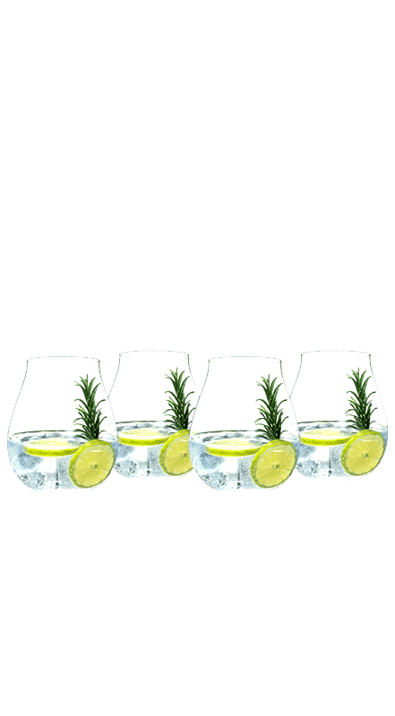 רידל 4 כוסות לג'ין