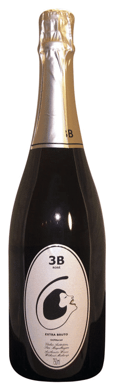 פאטו וינוס 3B מבעבע ברוט