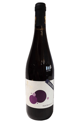 סוסון ים פילד בלנד בר גיורא