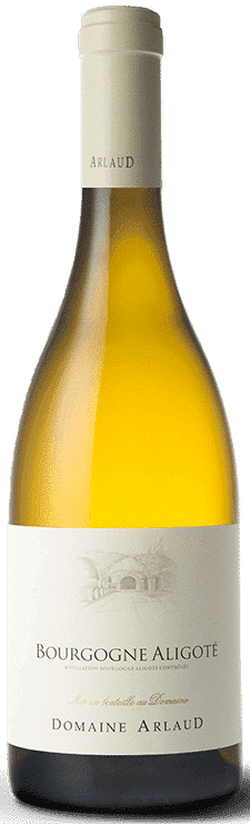 דומיין ארלו אליגוטה