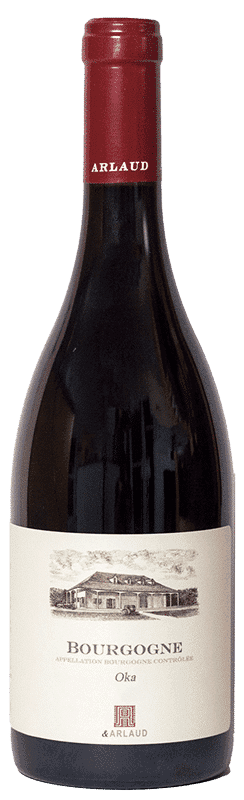 ארלו בורגון אדום