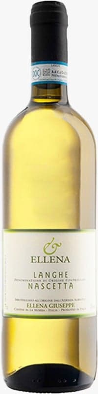 הלנה ג'וזפה לנגה נאשטה