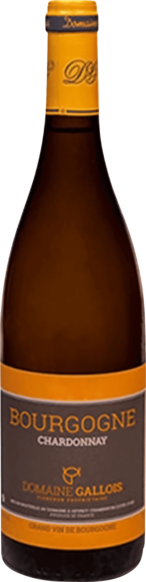 דומיין גלואה בורגון לבן