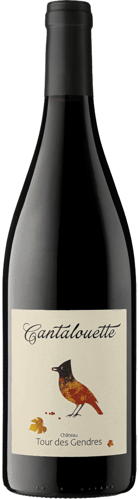 שאטו טור דה קאנטלואט