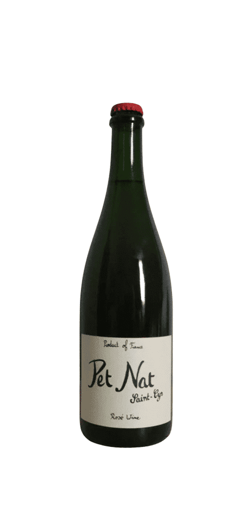 דומיין סנט סיר פט נט