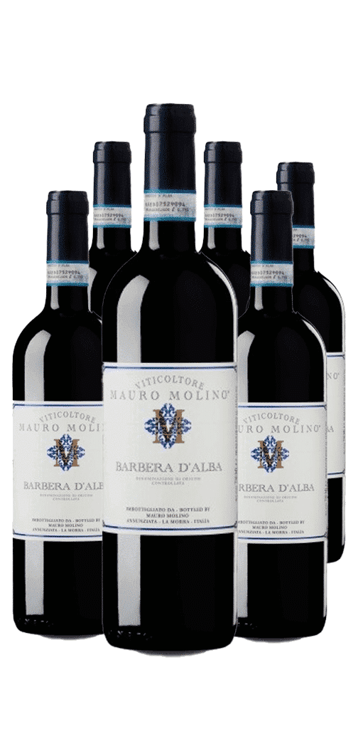 6 יינות מאורו מולינו, ברברה ד'אלבה