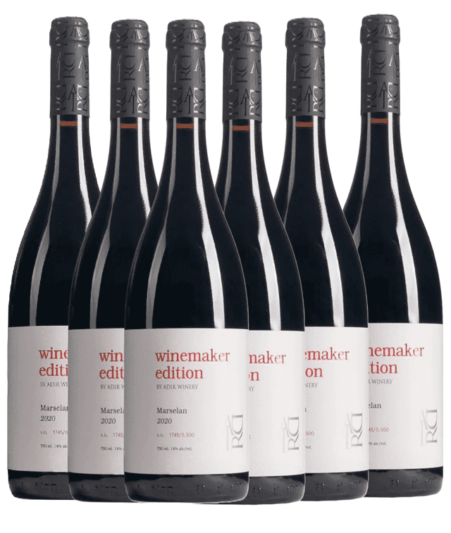 שישיית אדיר וין מייקרס מרסלן