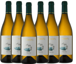 שישיית אסף פינו גרי