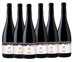 שישיית גליל יראון סירה