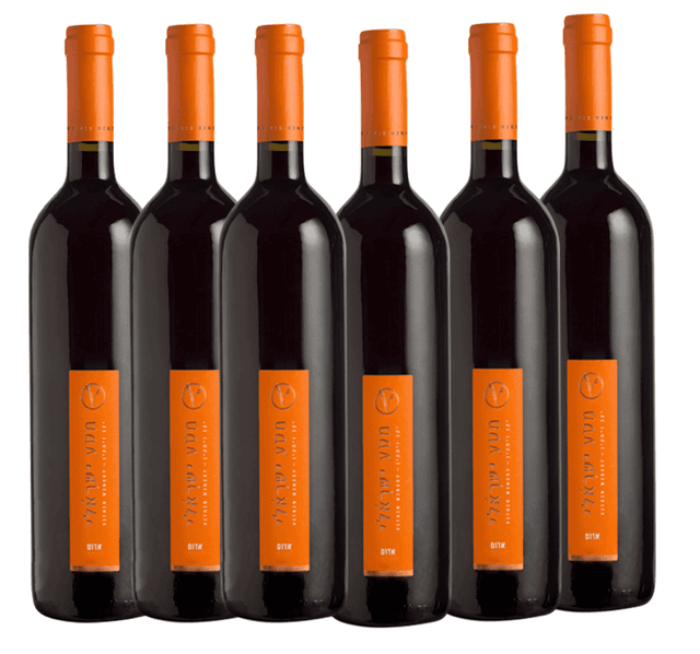 שישיית ויתקין מסע ישראלי אדום