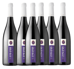 שישיית ויתקין פטיט סירה