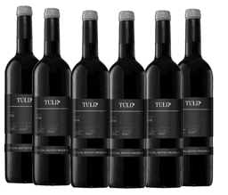 שישיית טוליפ ספיישל רזרב