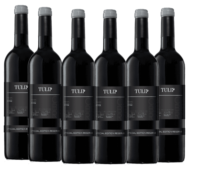 שישיית טוליפ ספיישל רזרב