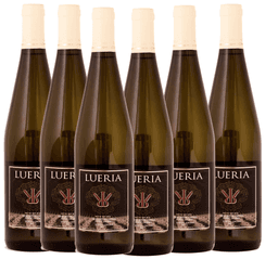 שישיית לוריא ספיישל אדישן לבן