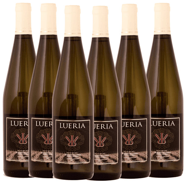 שישיית לוריא ספיישל אדישן לבן