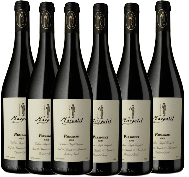 שישיית מרגלית פרדיגמה