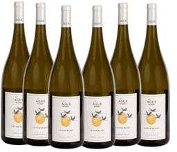 שישיית עגור לים לבן