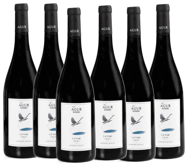 שישיית עגור לים