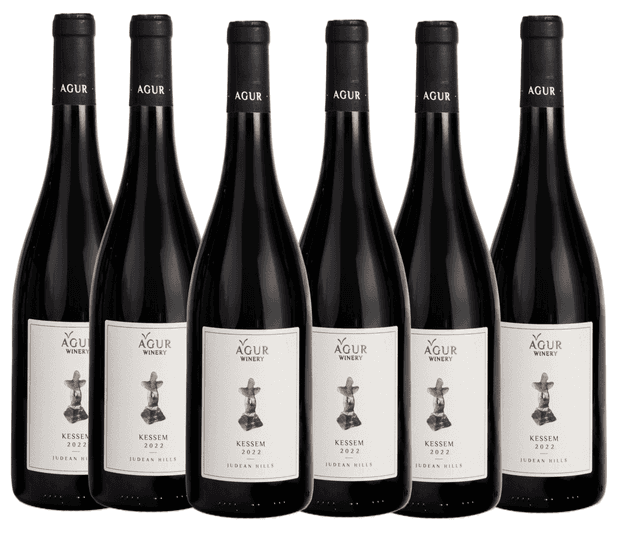 שישיית עגור קסם