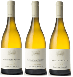 שלישיית ארלו אליגוטה