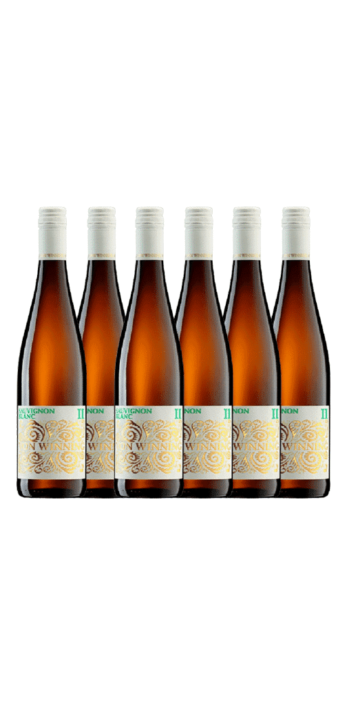 שישיית פון ווינינג סוביניון בלאן