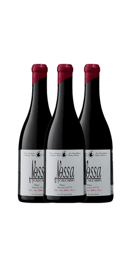 שלישיית פאטו וינוס נוסה קאלקריו באגה ביירדה מגנום