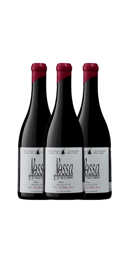 שלישיית פאטו וינוס נוסה קאלקריו באגה ביירדה מגנום