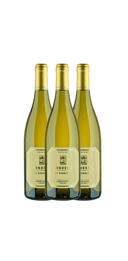 שלישיית רנה רוסטנג קונדריו בונה