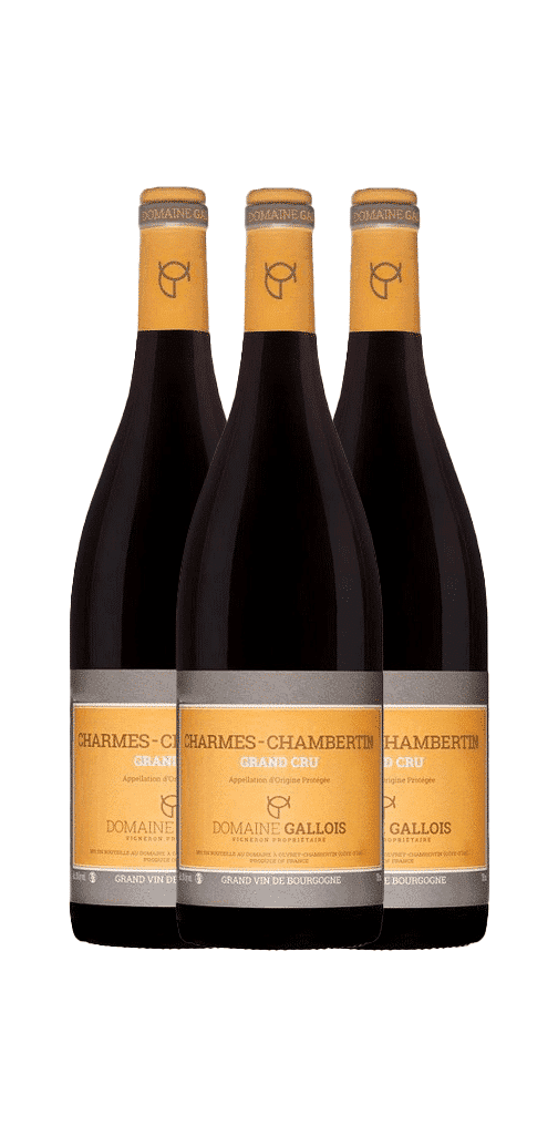 שלישיית דומיין גלואה שארם שמברטין גרנד קרו