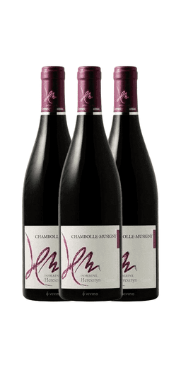 שלישיית דומיין הרסטין מאציני שאמבול מוסיני 2020