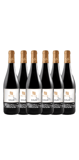 שישיית גליל אלון אדום