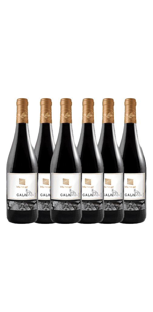 שישיית גליל אלון אדום