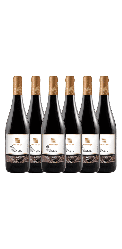 שישיית גליל אלה