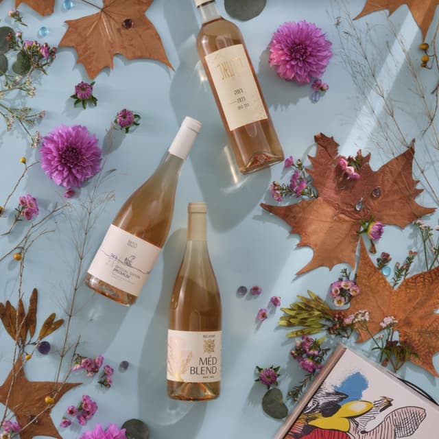 החיים בורוד - מארז שי 6