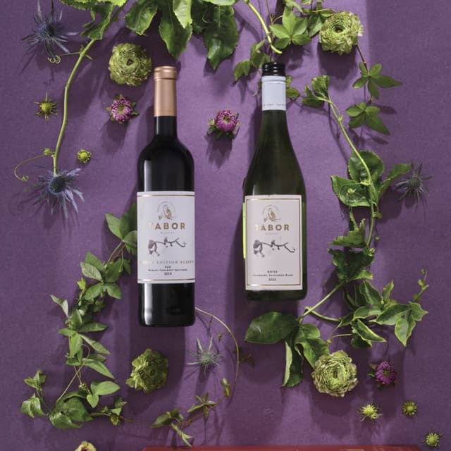 זוג תבור רזרב - מארז שי 11