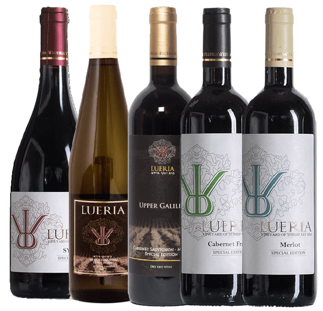 חבילת ספיישל אדישן יקב לוריא