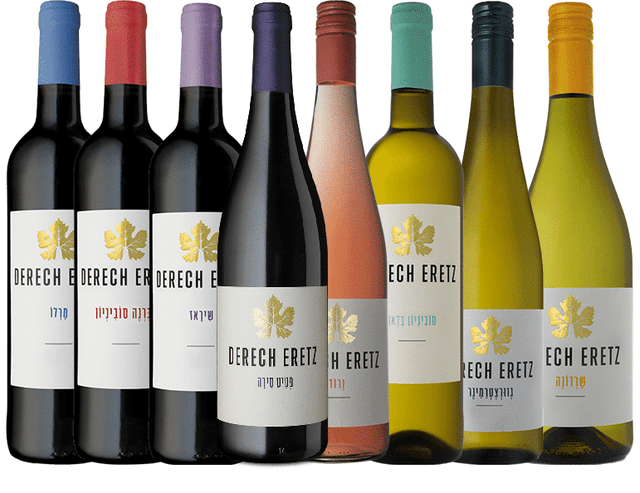 מיקסamp;מאצ' - דרך ארץ