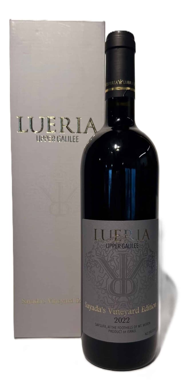 לוריא סיידא ויניארדס אדישיין