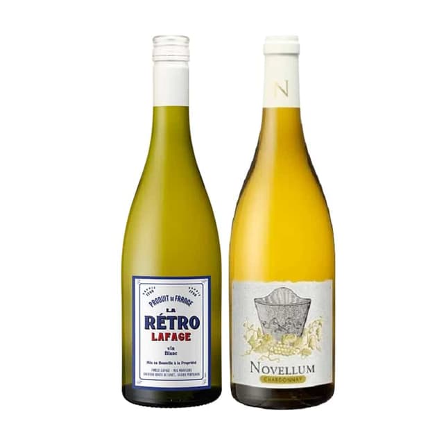 זוג דומיין לפאג' לבנים