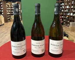 חבילת "כרטיס הכניסה" לדומיין סארל בוייסו