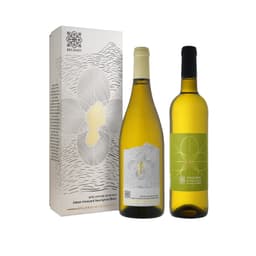 זוג רקנאטי סוביניון בלאן בשני סגנונות