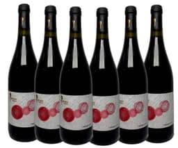 שישיית סוסון ים אנפלגד אדום