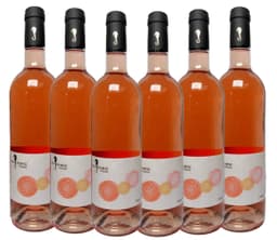 שישיית סוסון ים רוזה happy days