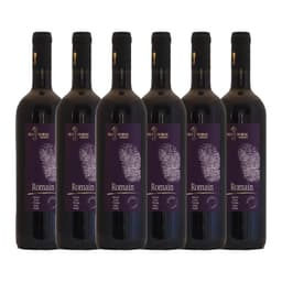 שישיית סוסון ים רומיין