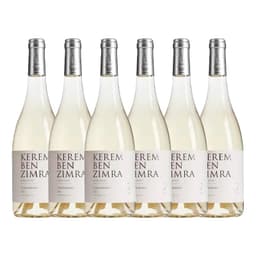 שישיית אדיר קולומברד בן זמרה