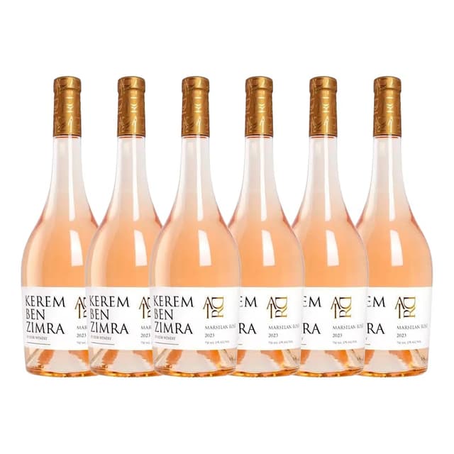 שישיית אדיר רוזה מרסלן כרם בן זמרה