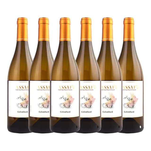 שישיית אסף פרנץ' קולומבר