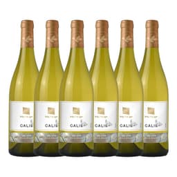 שישיית גליל אלון לבן