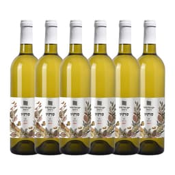 שישיית גליל סתיו לבן