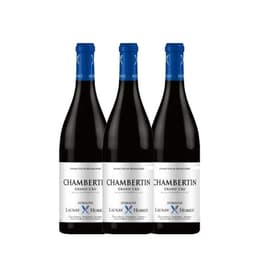 שלישיית לאונה אוריאו שמברטיין ג.ק 2020